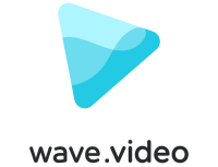 Wave Video logo, a blue triangle with a wave pattern pointing to the right